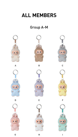 Pop Mart Labubu The Monsters Pin For Love Plush Pendent Sealed Cases 14 boxes (A-M) all member
